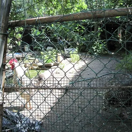 Bed and Breakfast Jazz Country Club *