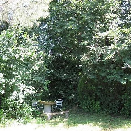 Bed and Breakfast Jazz Country Club Τσέρβια