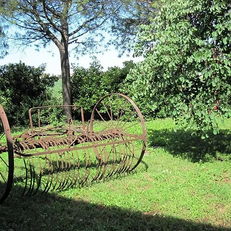 Bed and Breakfast Jazz Country Club Τσέρβια